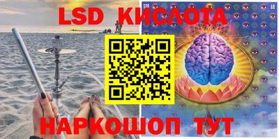 крисы Ставрополь