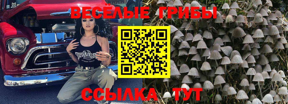 Гашиш Острогожск