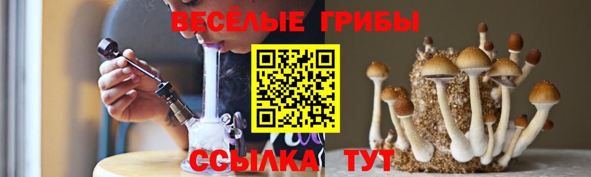 купить наркотики цена  Галлюциногенные грибы Magic Shrooms  Вход с VPN  Острогожск 